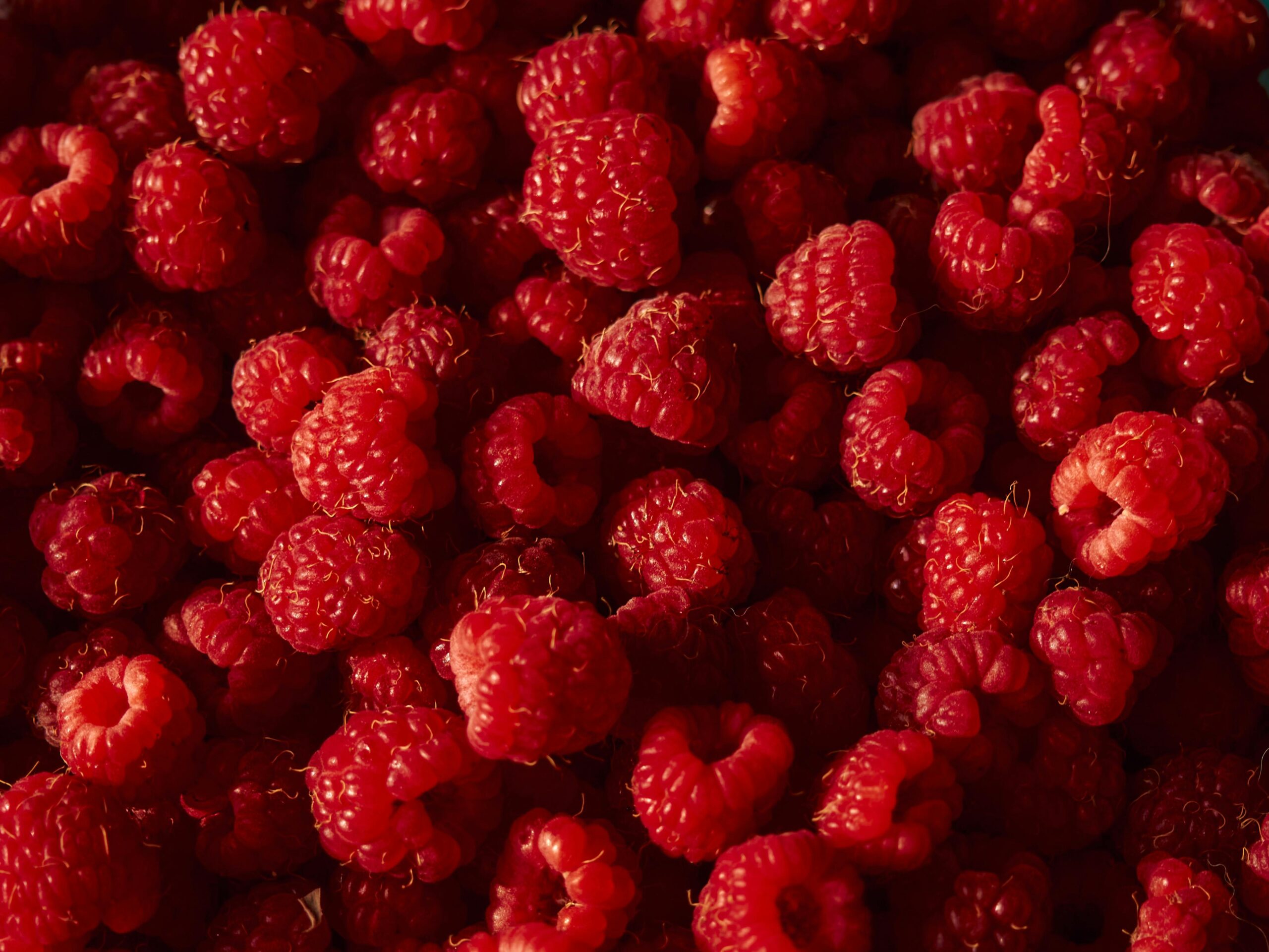 Kostenloses Stock Foto zu appetitlich, beere, bunt
